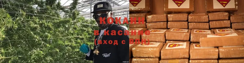 COCAIN Fish Scale  где купить наркотик  Павлово 